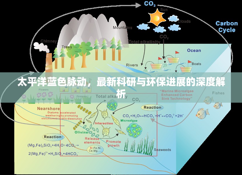 太平洋藍色脈動，最新科研與環(huán)保進展的深度解析