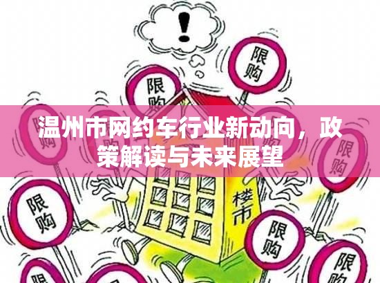 溫州市網(wǎng)約車行業(yè)新動向，政策解讀與未來展望