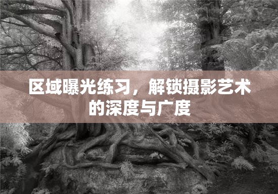 區(qū)域曝光練習，解鎖攝影藝術的深度與廣度