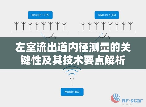 左室流出道內(nèi)徑測(cè)量的關(guān)鍵性及其技術(shù)要點(diǎn)解析