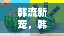 韓流新寵，韓國女主播的夏日奇趣冰西瓜挑戰(zhàn)