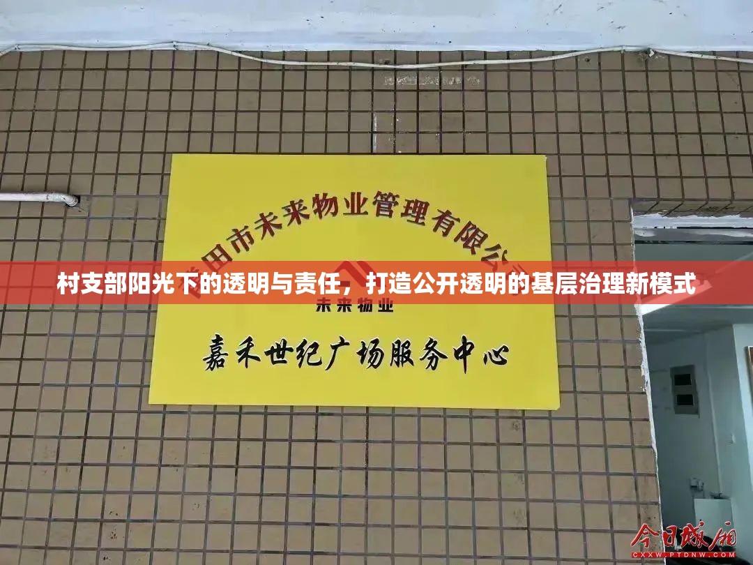 村支部陽光下的透明與責(zé)任，打造公開透明的基層治理新模式