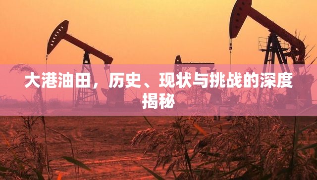大港油田，歷史、現(xiàn)狀與挑戰(zhàn)的深度揭秘