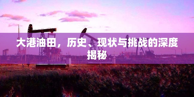 大港油田，歷史、現(xiàn)狀與挑戰(zhàn)的深度揭秘