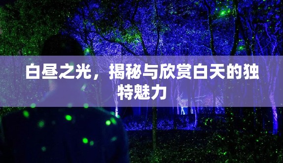 白晝之光，揭秘與欣賞白天的獨特魅力