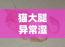 貓大腿異常濕潤(rùn)，揭秘背后的真相
