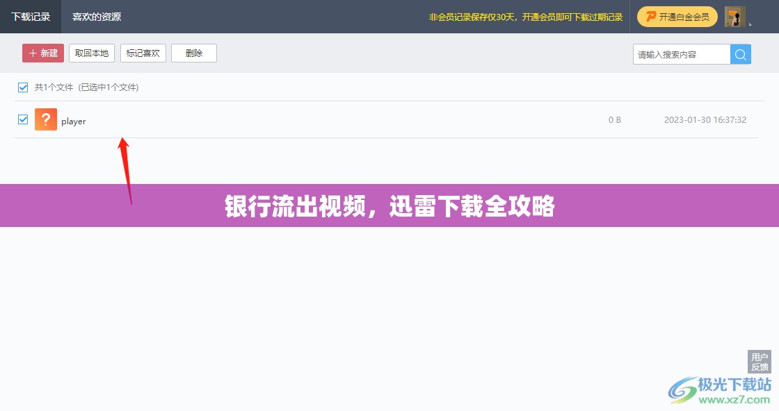 銀行流出視頻，迅雷下載全攻略