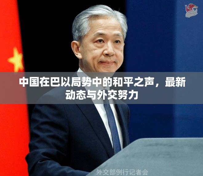 中國在巴以局勢中的和平之聲，最新動態(tài)與外交努力