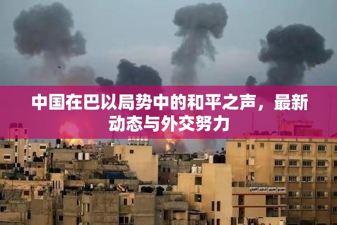 中國在巴以局勢中的和平之聲，最新動態(tài)與外交努力