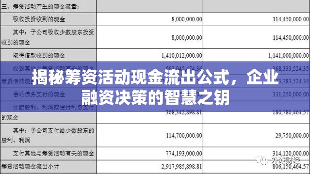 揭秘籌資活動(dòng)現(xiàn)金流出公式，企業(yè)融資決策的智慧之鑰