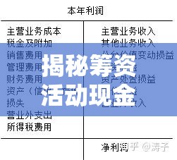 揭秘籌資活動(dòng)現(xiàn)金流出公式，企業(yè)融資決策的智慧之鑰