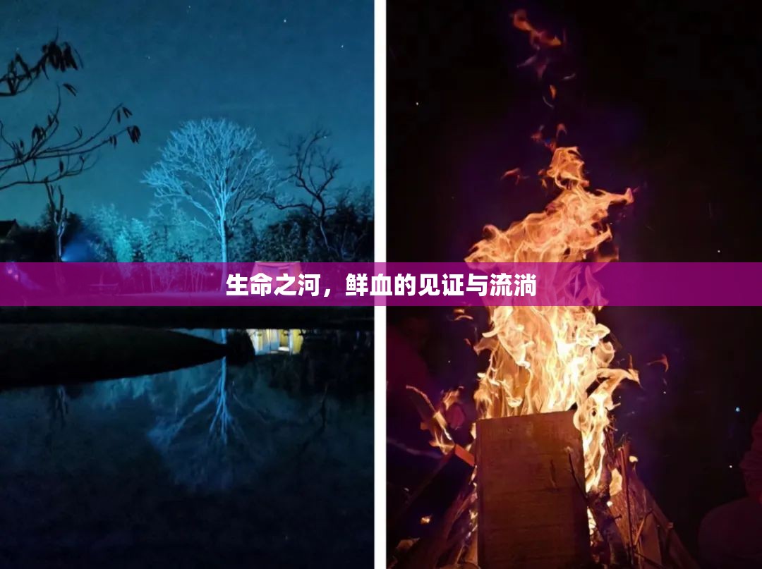 生命之河，鮮血的見證與流淌