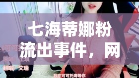 七海蒂娜粉流出事件，網(wǎng)絡(luò)風(fēng)波背后的深思與反思