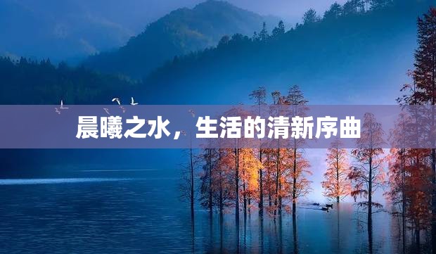 晨曦之水，生活的清新序曲