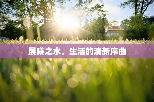 晨曦之水，生活的清新序曲