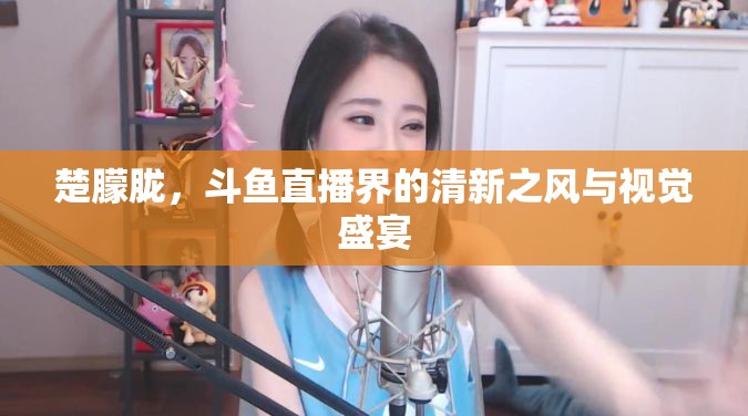 楚朦朧，斗魚直播界的清新之風(fēng)與視覺盛宴