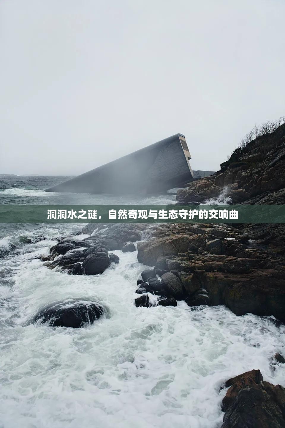 洞洞水之謎，自然奇觀與生態(tài)守護(hù)的交響曲