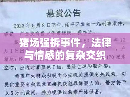 豬場強拆事件，法律與情感的復(fù)雜交織