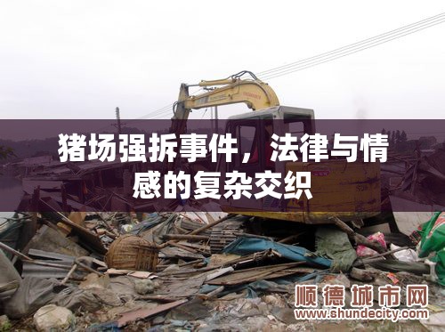 豬場強拆事件，法律與情感的復(fù)雜交織