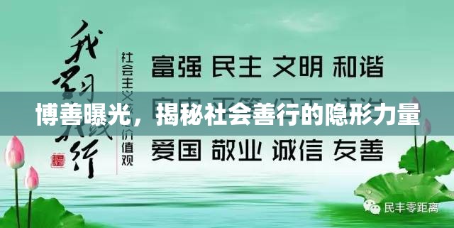 博善曝光，揭秘社會善行的隱形力量