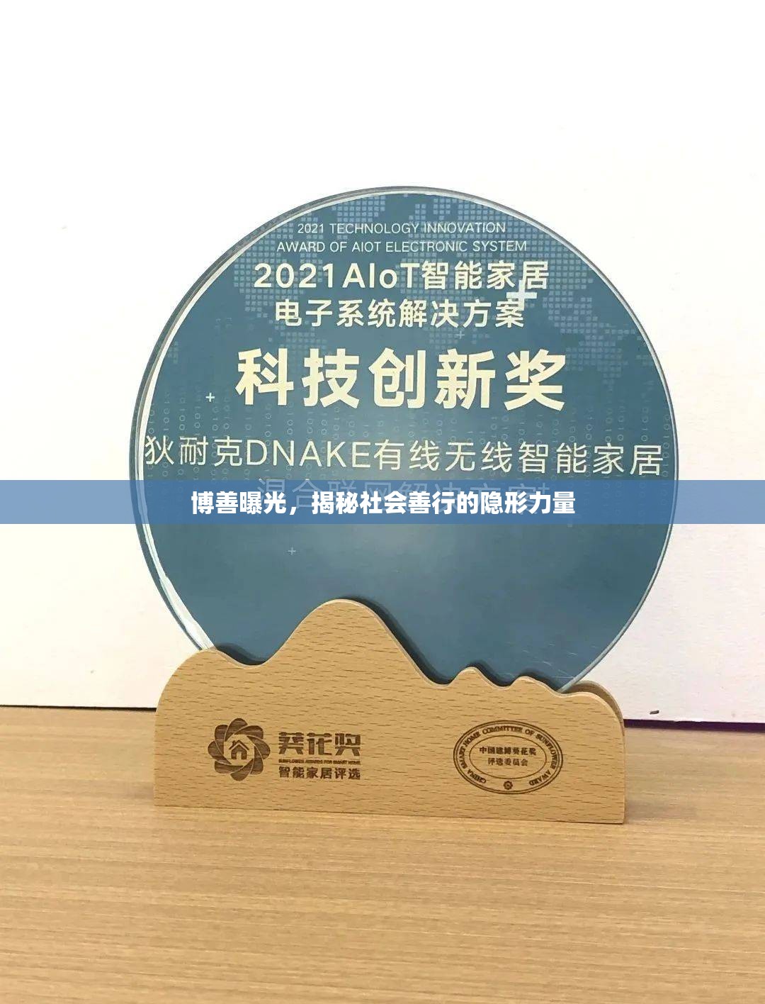 博善曝光，揭秘社會善行的隱形力量