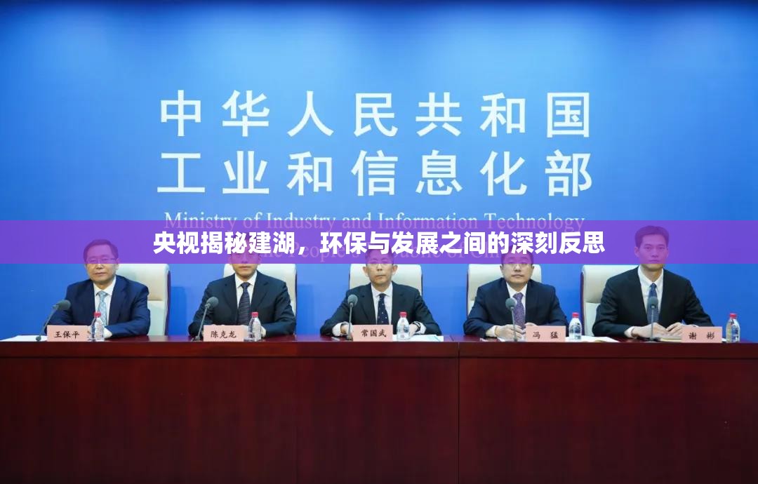 央視揭秘建湖，環(huán)保與發(fā)展之間的深刻反思