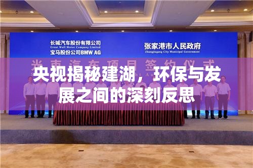 央視揭秘建湖，環(huán)保與發(fā)展之間的深刻反思
