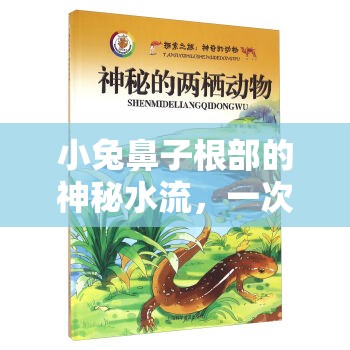 小兔鼻子根部的神秘水流，一次溫馨的動物健康探索之旅