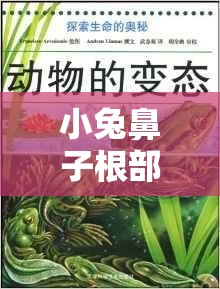 小兔鼻子根部的神秘水流，一次溫馨的動物健康探索之旅