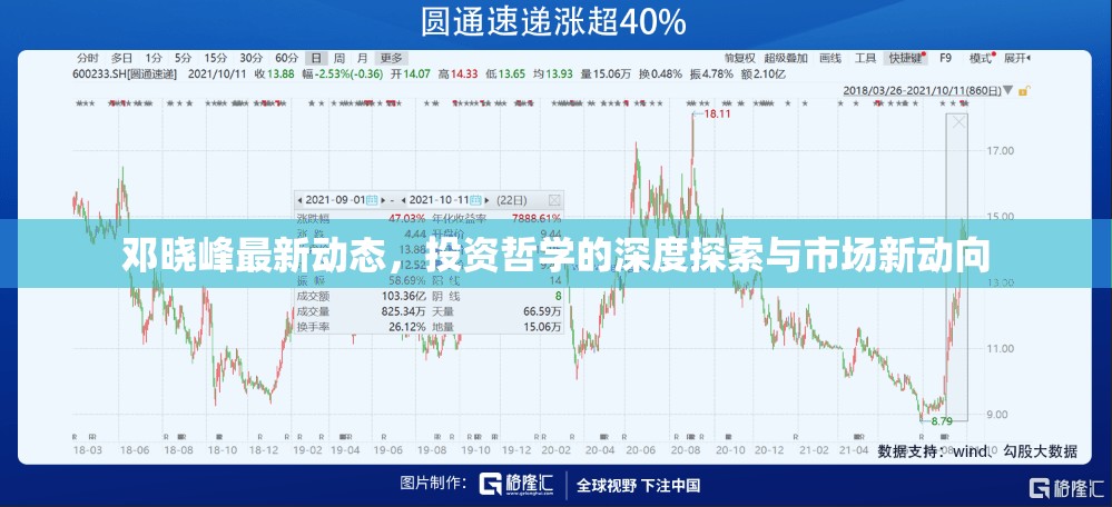 鄧曉峰最新動態(tài)，投資哲學(xué)的深度探索與市場新動向