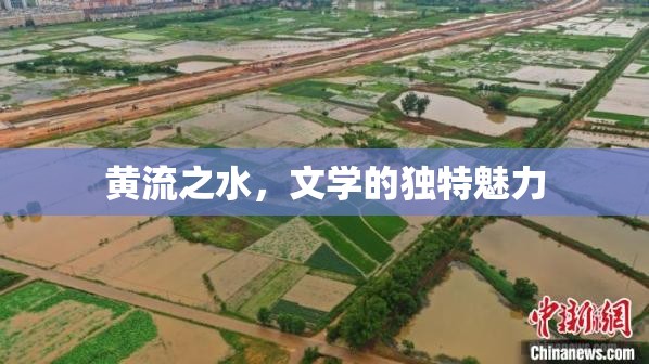 黃流之水，文學(xué)的獨特魅力
