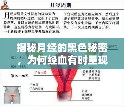揭秘月經(jīng)的黑色秘密，為何經(jīng)血有時呈現(xiàn)暗黑色？