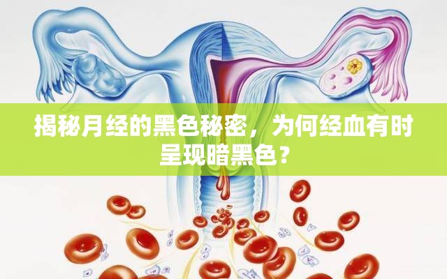 揭秘月經(jīng)的黑色秘密，為何經(jīng)血有時呈現(xiàn)暗黑色？