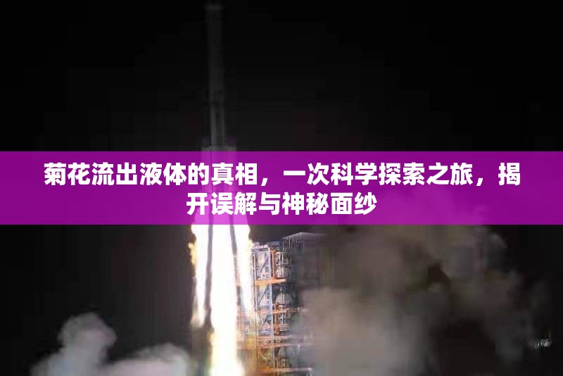 菊花流出液體的真相，一次科學(xué)探索之旅，揭開誤解與神秘面紗