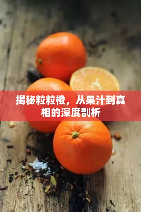 揭秘粒粒橙，從果汁到真相的深度剖析