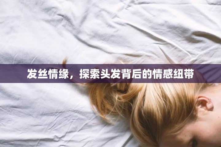 發(fā)絲情緣，探索頭發(fā)背后的情感紐帶