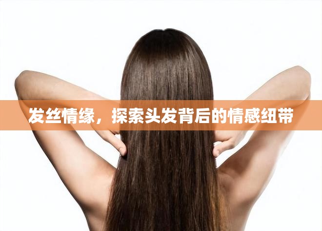 發(fā)絲情緣，探索頭發(fā)背后的情感紐帶