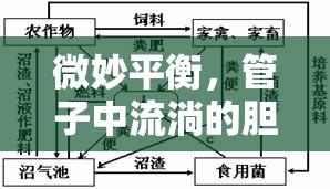 微妙平衡，管子中流淌的膽汁與生命循環(huán)的奧秘