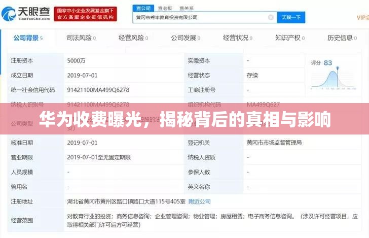 華為收費曝光，揭秘背后的真相與影響