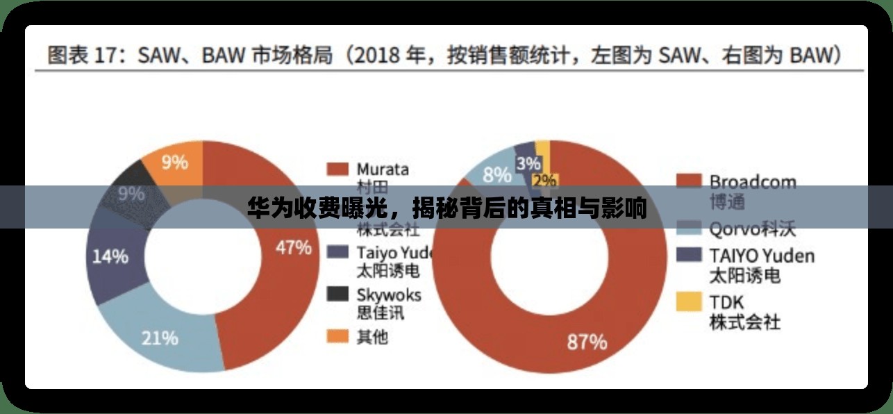 華為收費曝光，揭秘背后的真相與影響