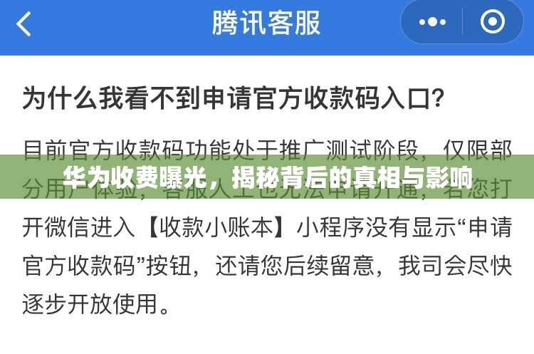 華為收費曝光，揭秘背后的真相與影響