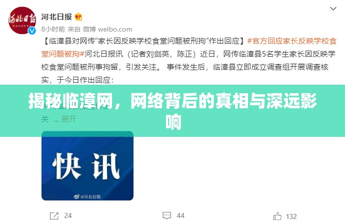 揭秘臨漳網(wǎng)，網(wǎng)絡(luò)背后的真相與深遠(yuǎn)影響