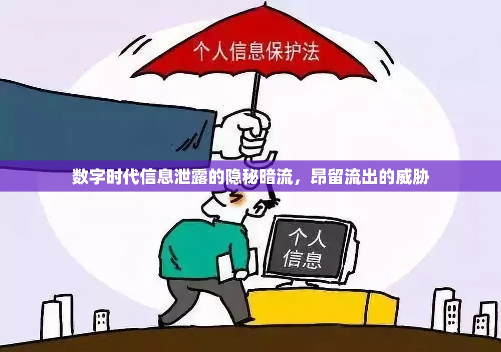 數(shù)字時(shí)代信息泄露的隱秘暗流，昂留流出的威脅