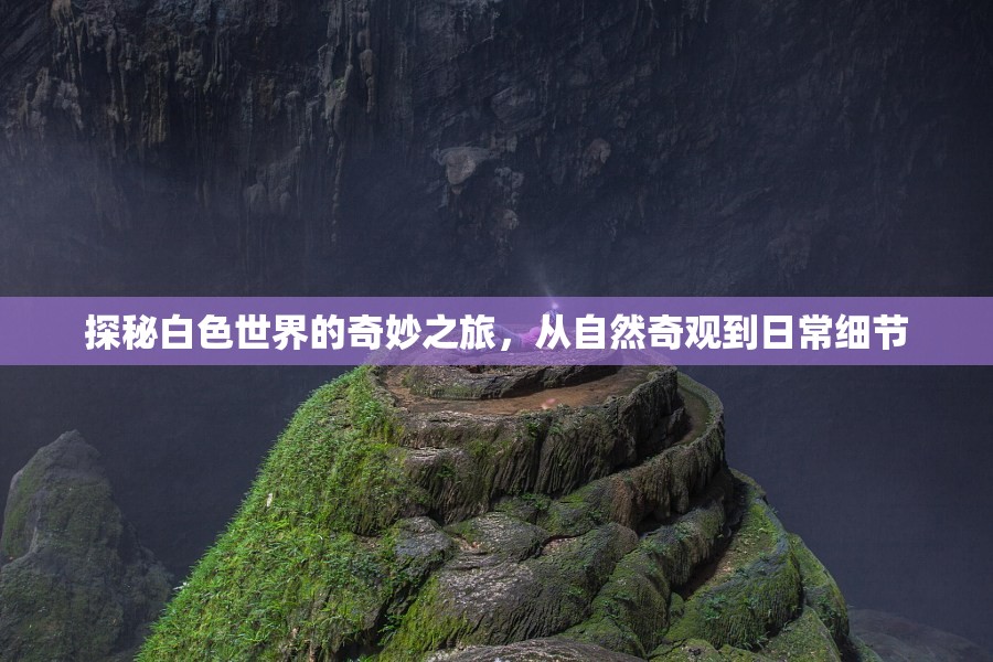 探秘白色世界的奇妙之旅，從自然奇觀到日常細(xì)節(jié)