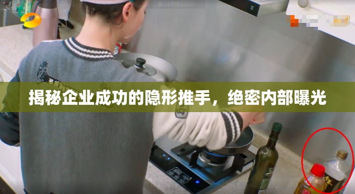 揭秘企業(yè)成功的隱形推手，絕密內(nèi)部曝光