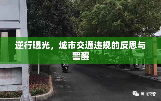 逆行曝光，城市交通違規(guī)的反思與警醒