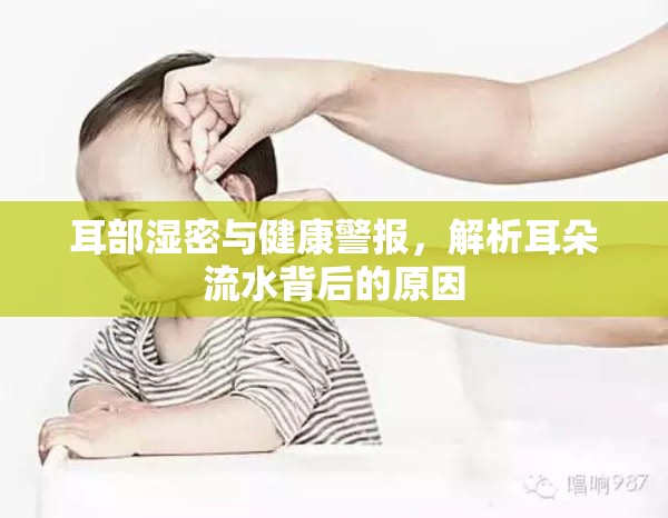 耳部濕密與健康警報，解析耳朵流水背后的原因