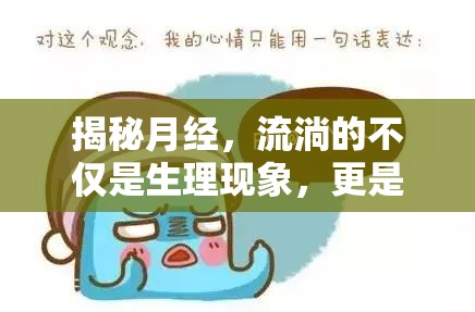 揭秘月經(jīng)，流淌的不僅是生理現(xiàn)象，更是女性生命的奧秘