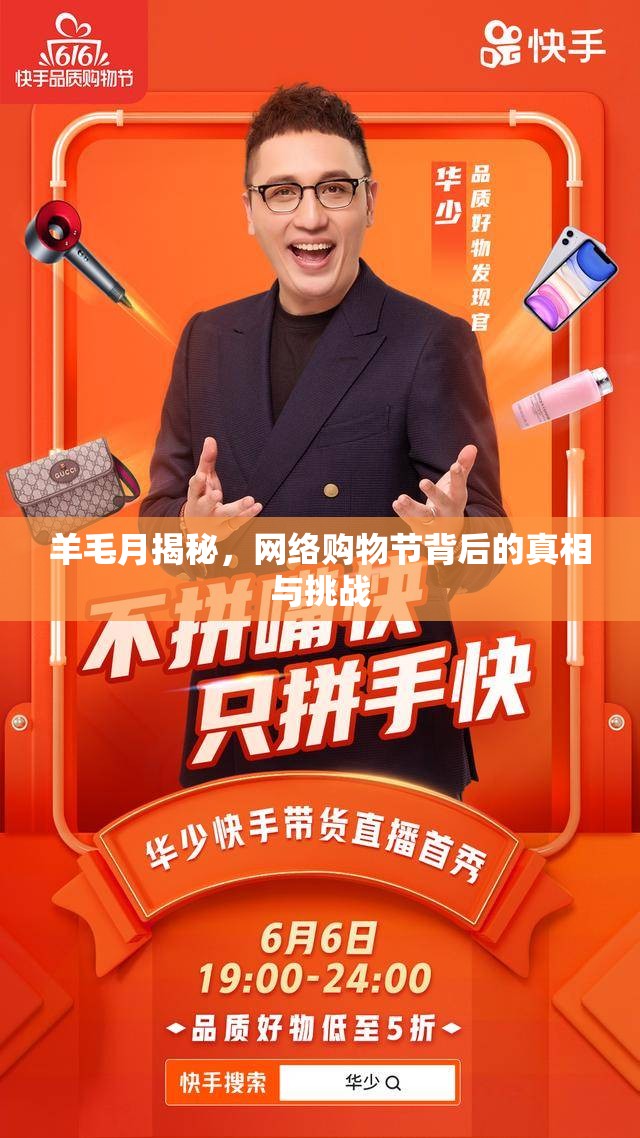 羊毛月揭秘，網(wǎng)絡(luò)購(gòu)物節(jié)背后的真相與挑戰(zhàn)