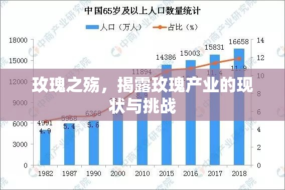 玫瑰之殤，揭露玫瑰產(chǎn)業(yè)的現(xiàn)狀與挑戰(zhàn)